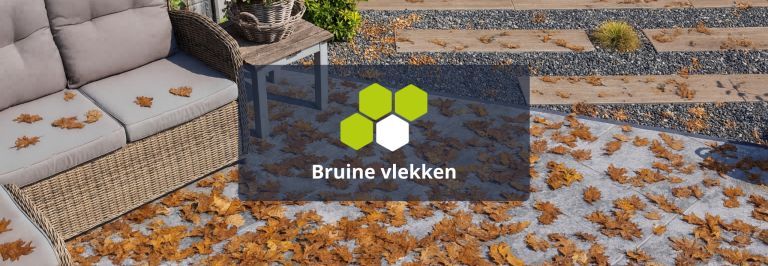 Bruine vlekken van bladeren