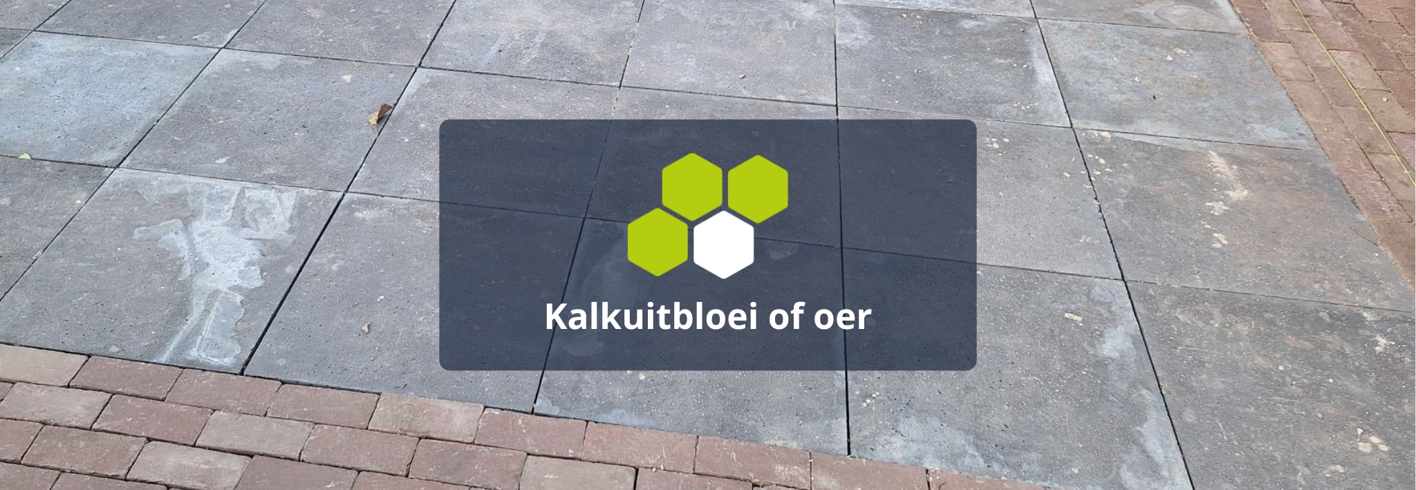 Kalkuitbloei of oer op je bestrating