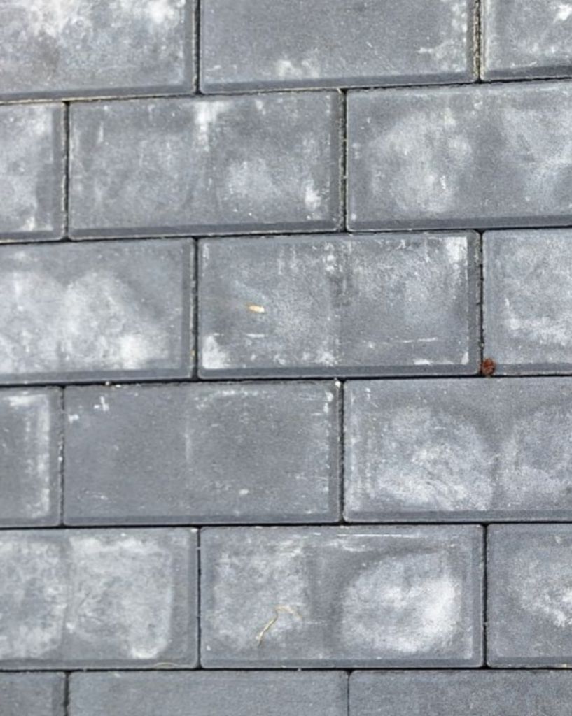 Kalkuitbloei op bestrating