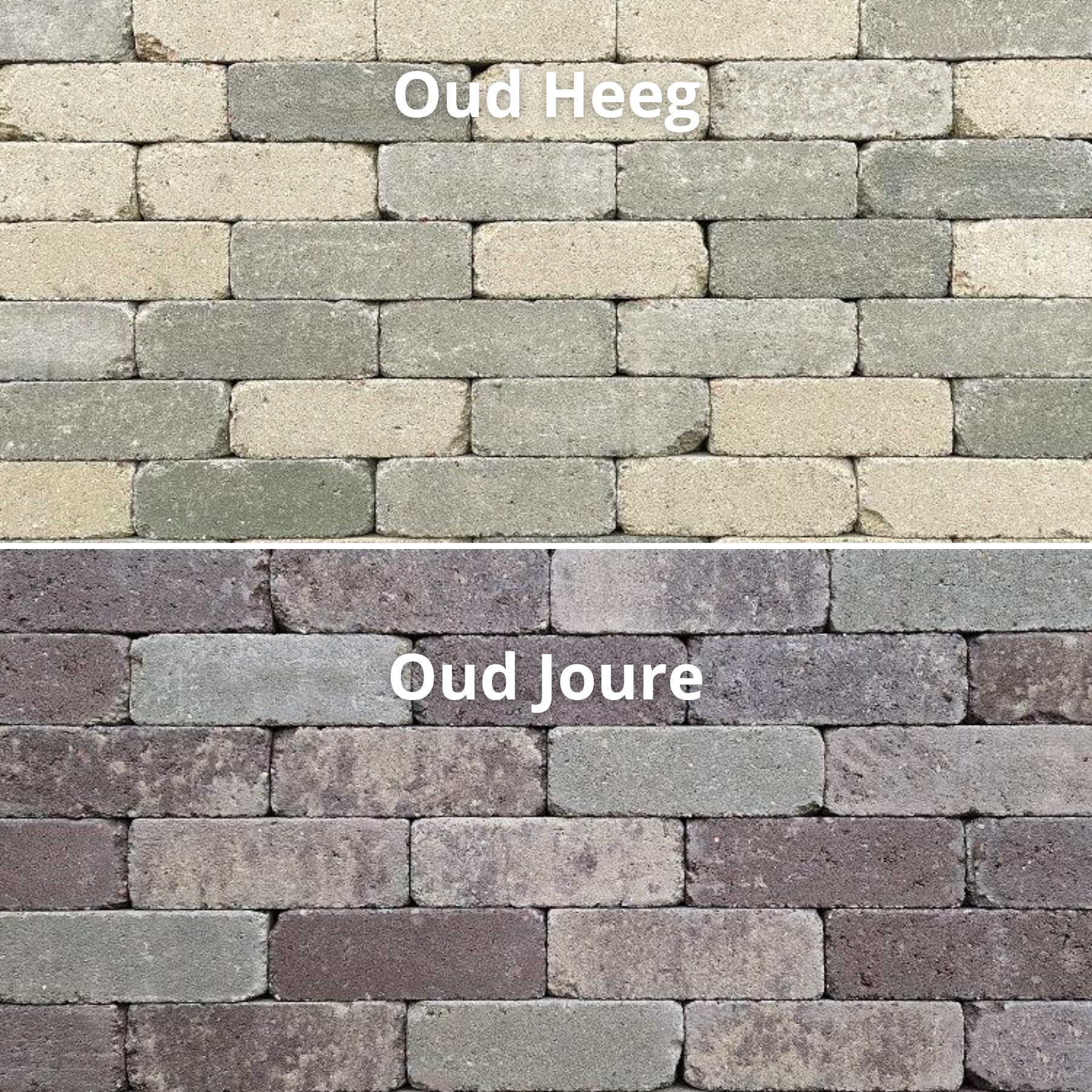 SolidSquare nieuwe kleuren