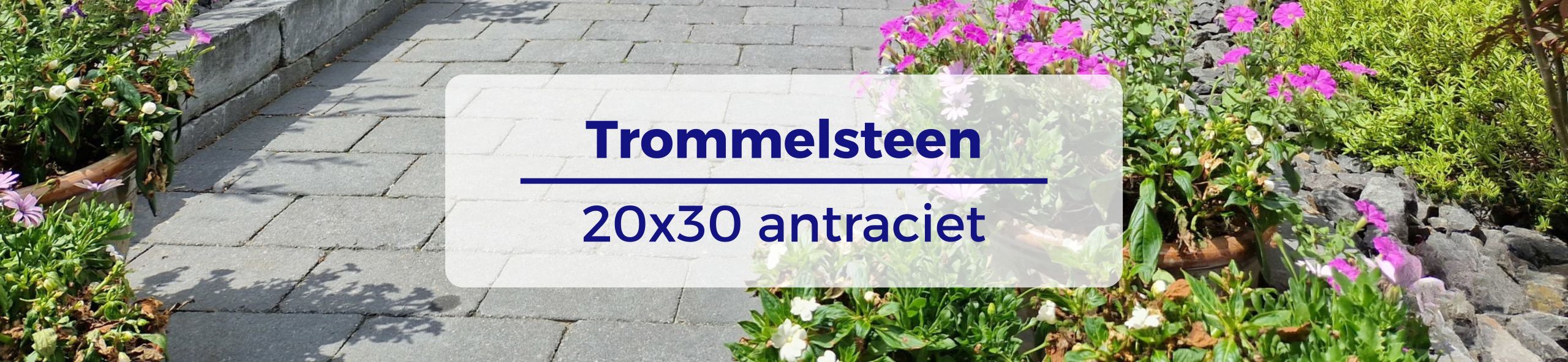 Trommelsteen 20x30 Antraciet