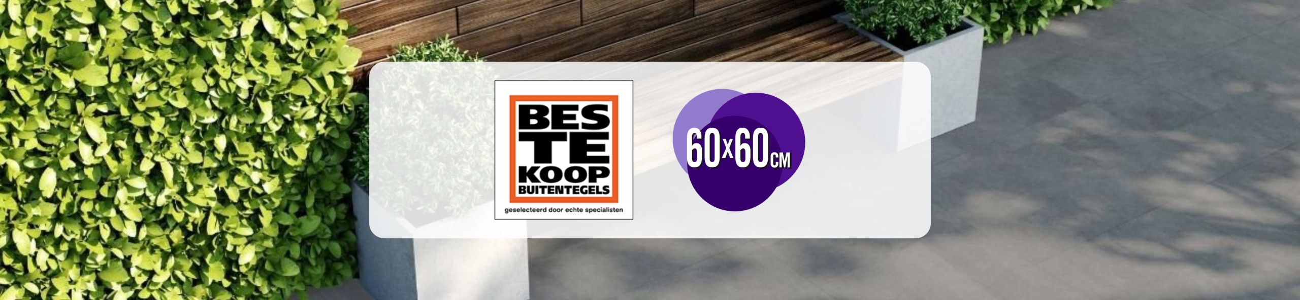 Beste Koop Baron Grey 60x60