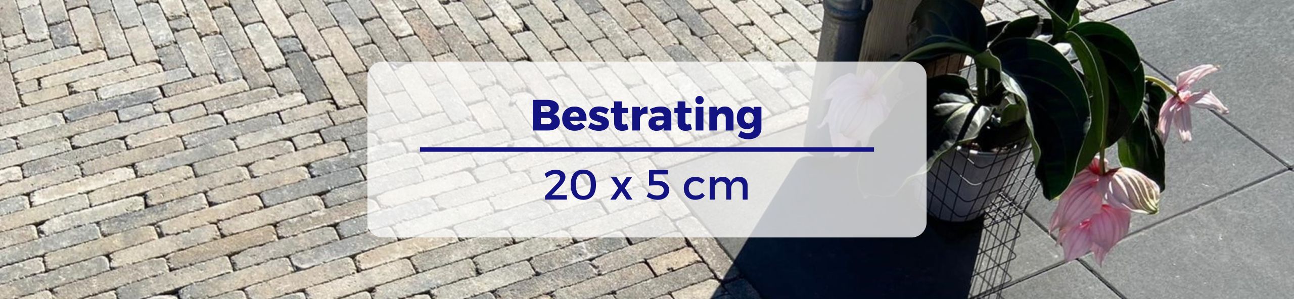 Bestrating 20x5 cm - Stonique trommel waalformaat 7 cm musselkalk