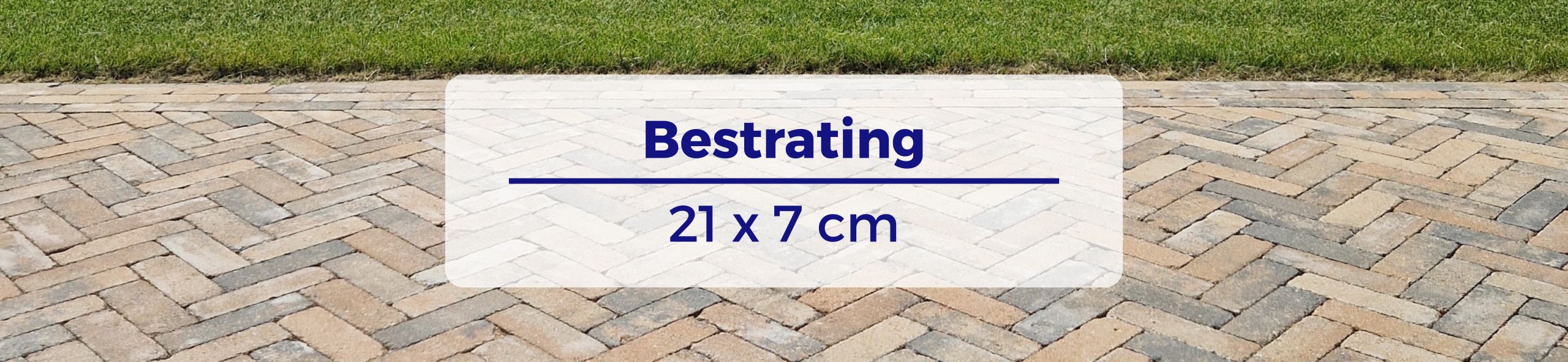 Bestrating 21x7 cm - Stonique trommel dikformaat 6 cm musselkalk