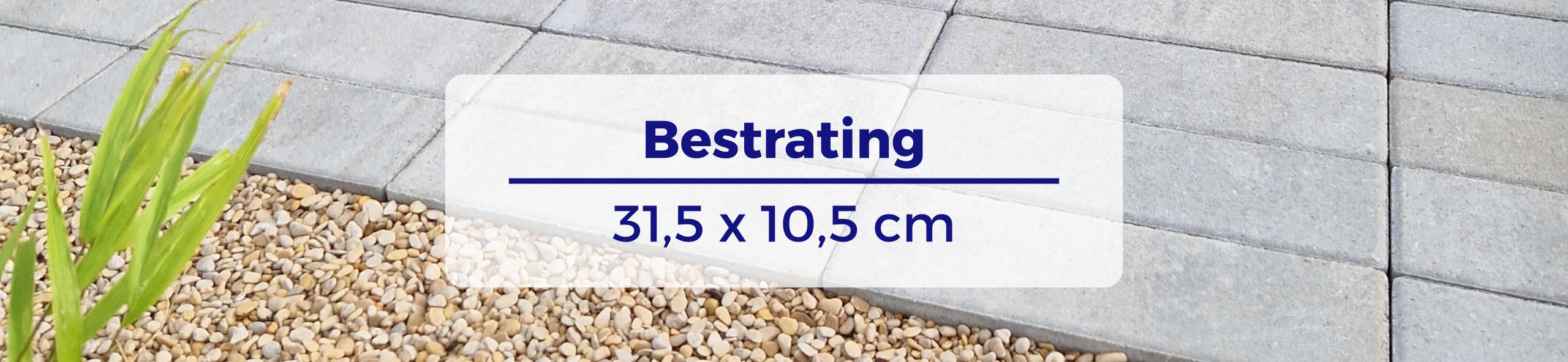 Bestrating 31,5x10,5 cm - Patio longstone 7 cm concrete