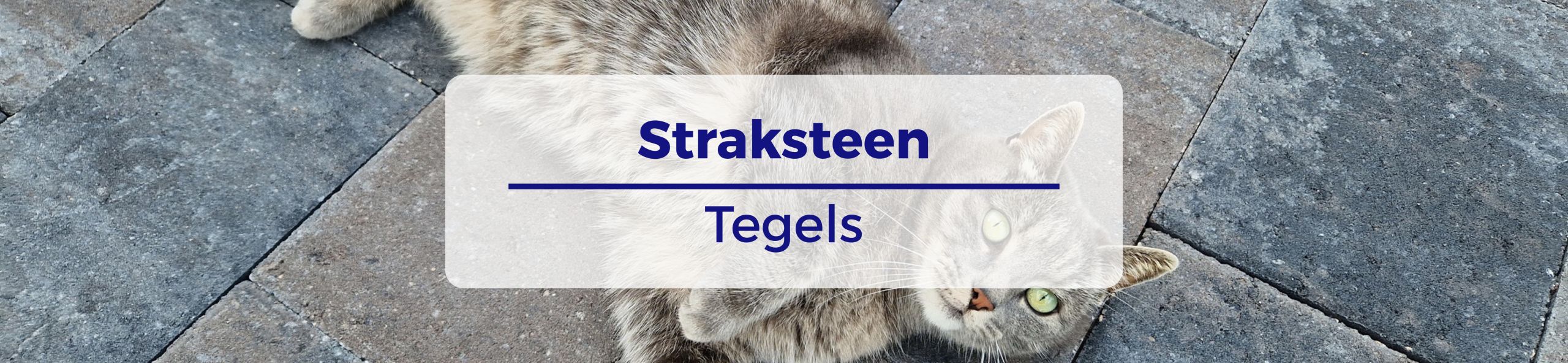 Kijlstra Straksteen - Oud Drachten