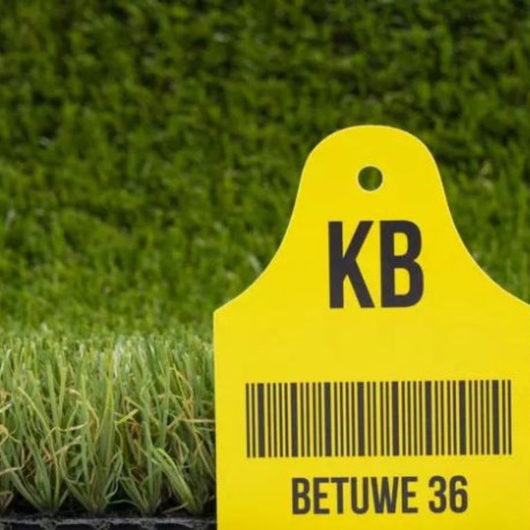 Kunstgras Betuwe 36