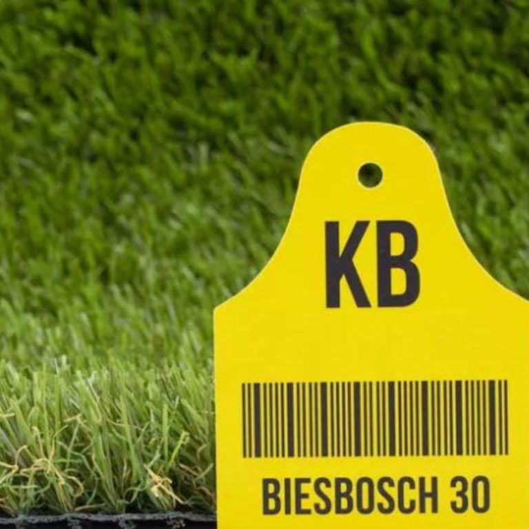 Kunstgras Biesbosch 30