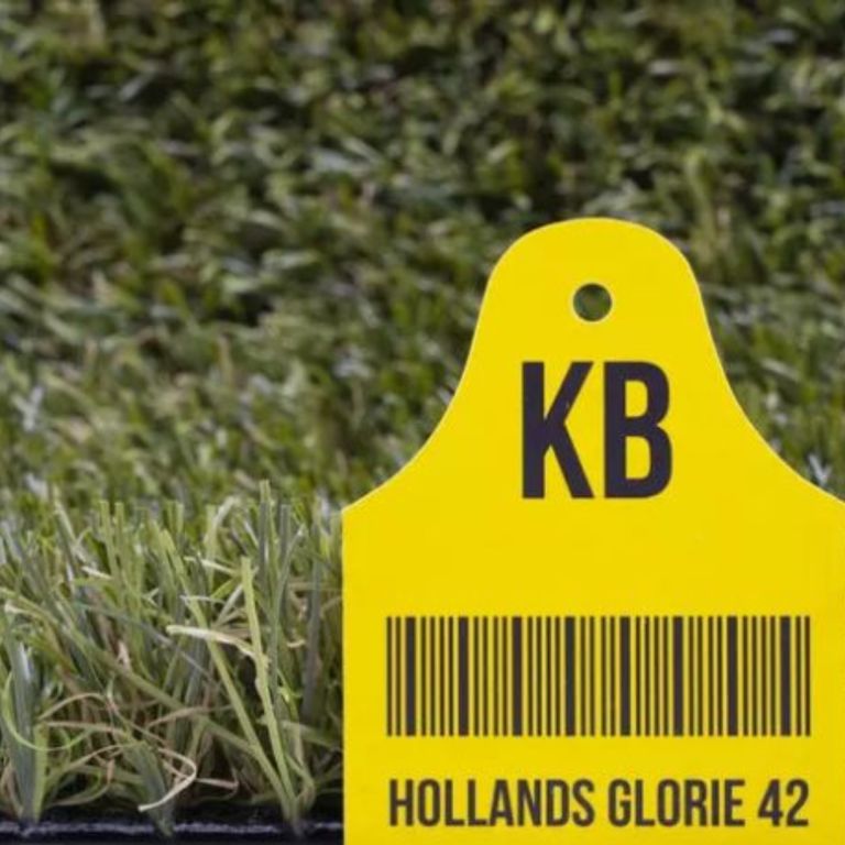 Kunstgras Hollands Glorie 42