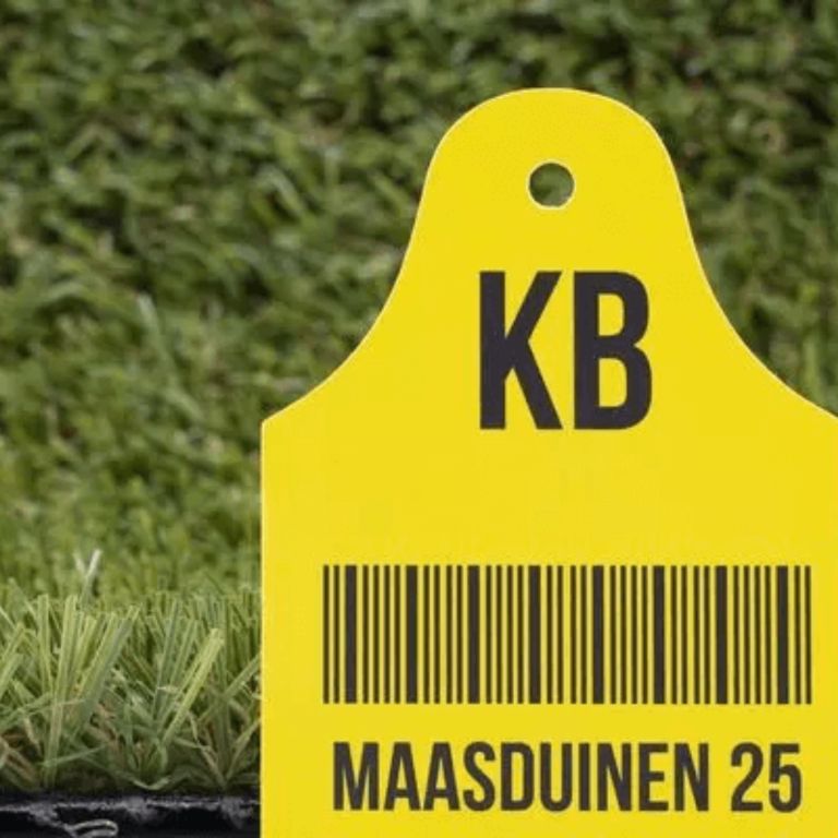 Kunstgras Maasduinen 25