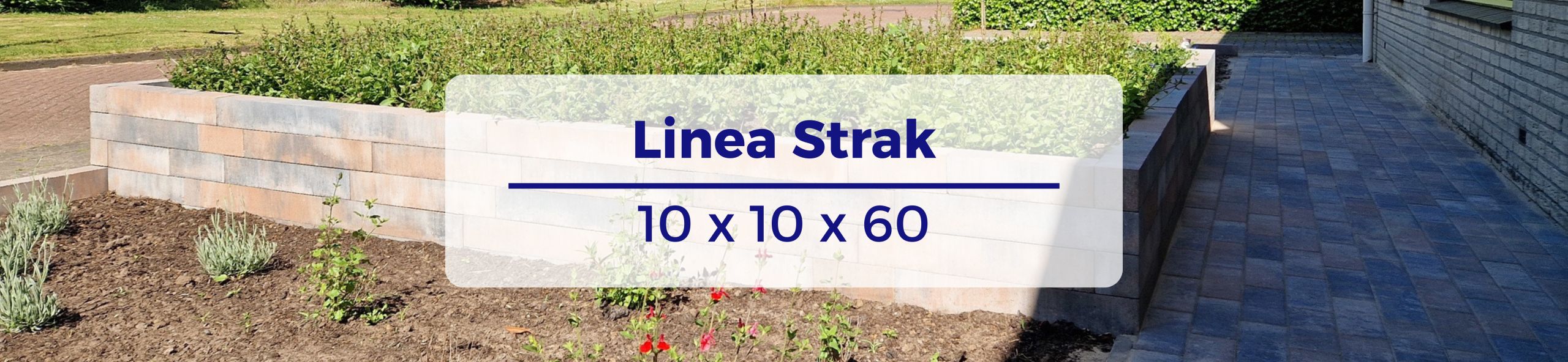 Linea Strak 10x10x60 - Tricolore