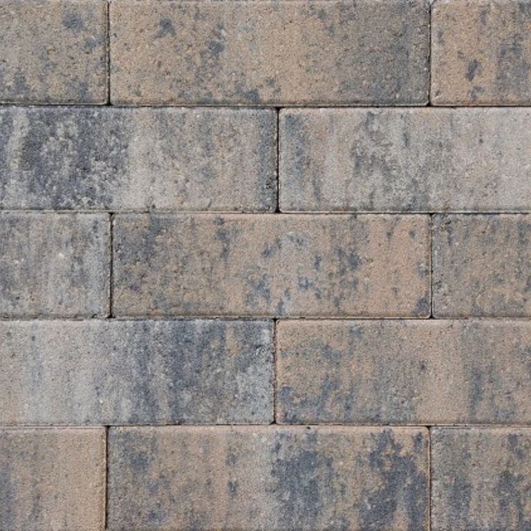 Longstone Opritsteen 7 cm Musselkalk