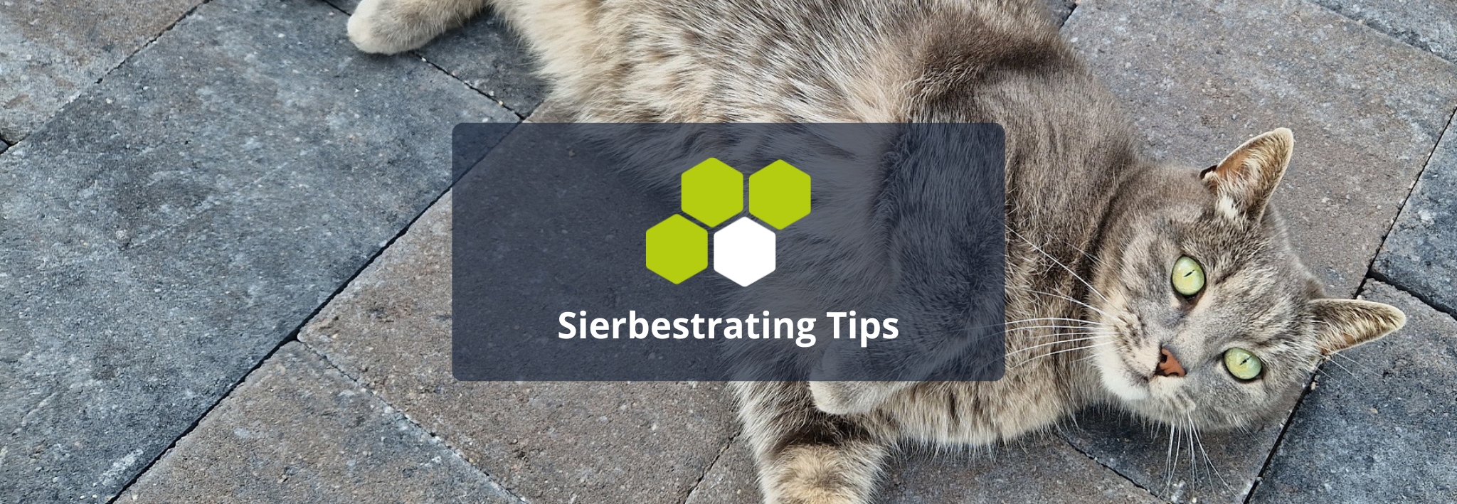 Sierbestrating Tips