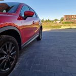 Straksteen 20x30x5 cm Antraciet (3)