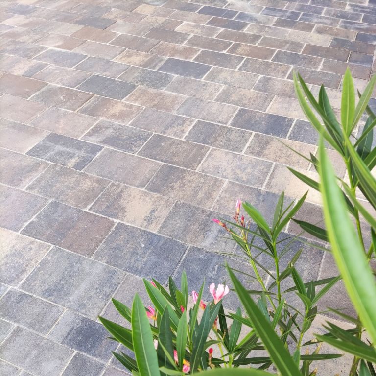 Straksteen 20x30x5 cm Chelsea (3)