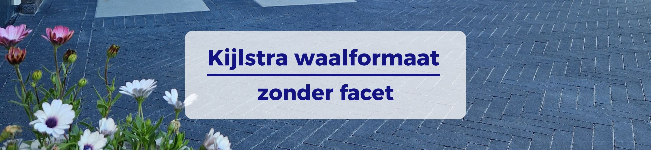 Kijlstra waalformaat zonder facet - Waalformaat strak cm antraciet komo
