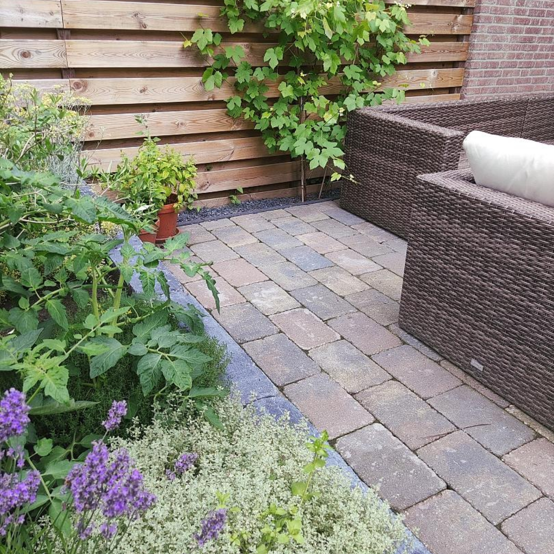 Landelijke tuin 6 (2)