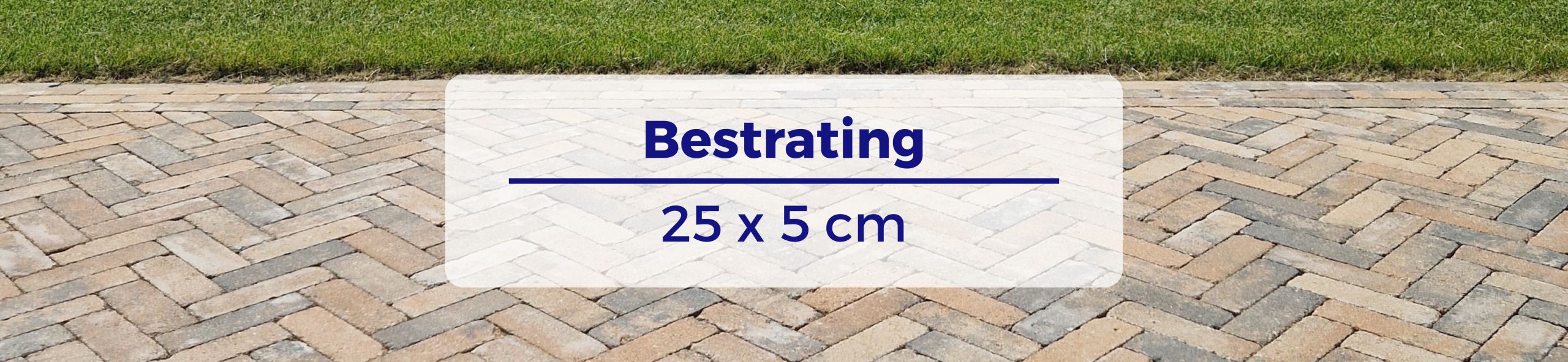 Bestrating 25x5 cm - Stonique trommel dikformaat XL musselkalk
